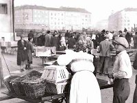 Branimirova tržnica oko 1930. godine